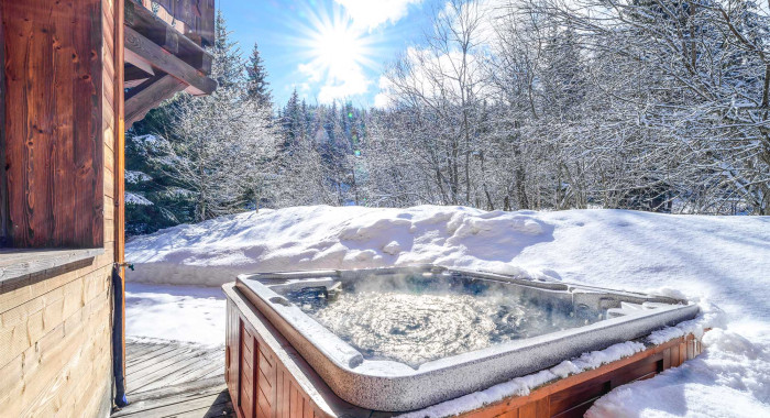 Chalet Morgane, La Tania ski chalet, image 6