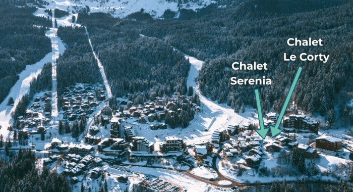 Chalet Le Corty, La Tania ski chalet, image 4