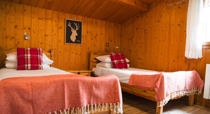 Chalet Les Anemones, Les Deux Alpes ski chalet, image 6