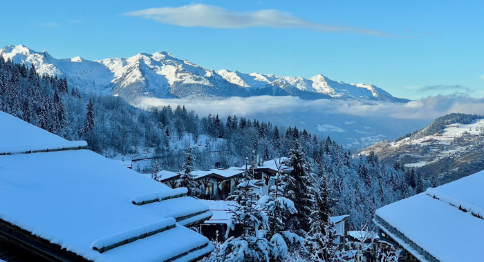 Chalet Jardin Alpin, La Tania ski chalet, image 8