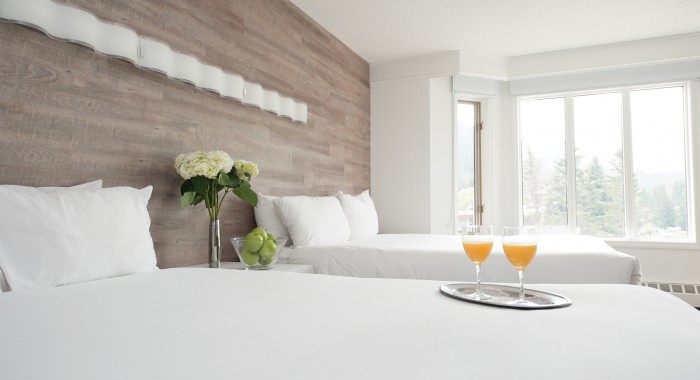 Elk & Avenue Hotel, Banff ski chalet, image 2