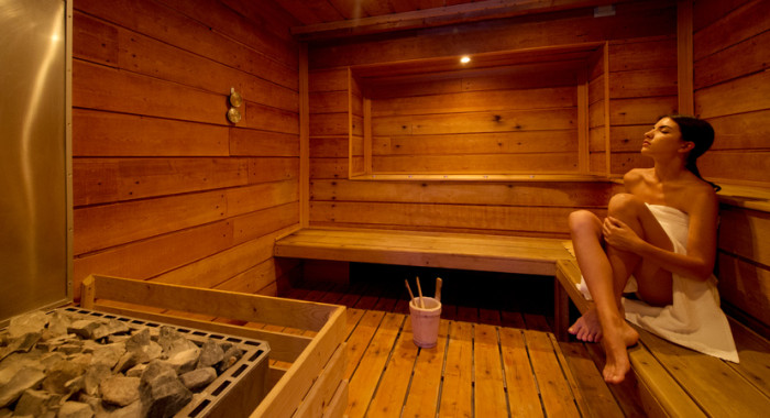 Hotel la Torre, Sauze D'Oulx ski chalet, image 8
