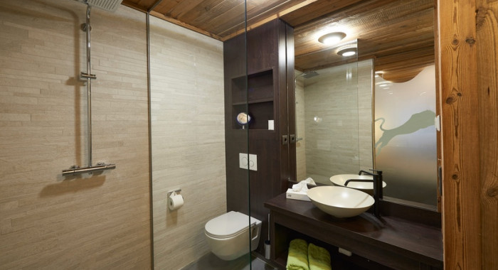 Hotel Panthera, Saalbach Hinterglemm ski chalet, image 6